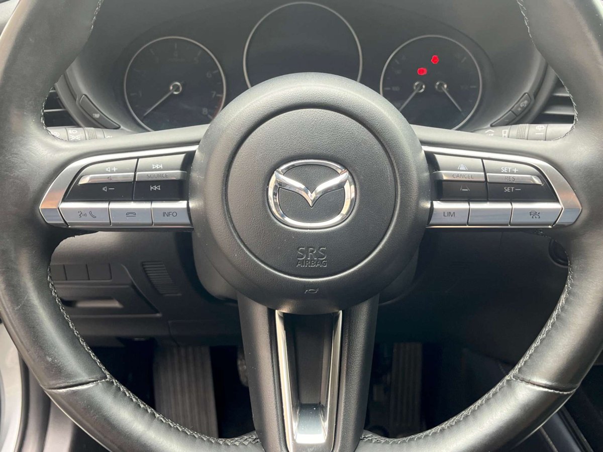 Mazda CX-30 2.0 M-HYBRID / Camera