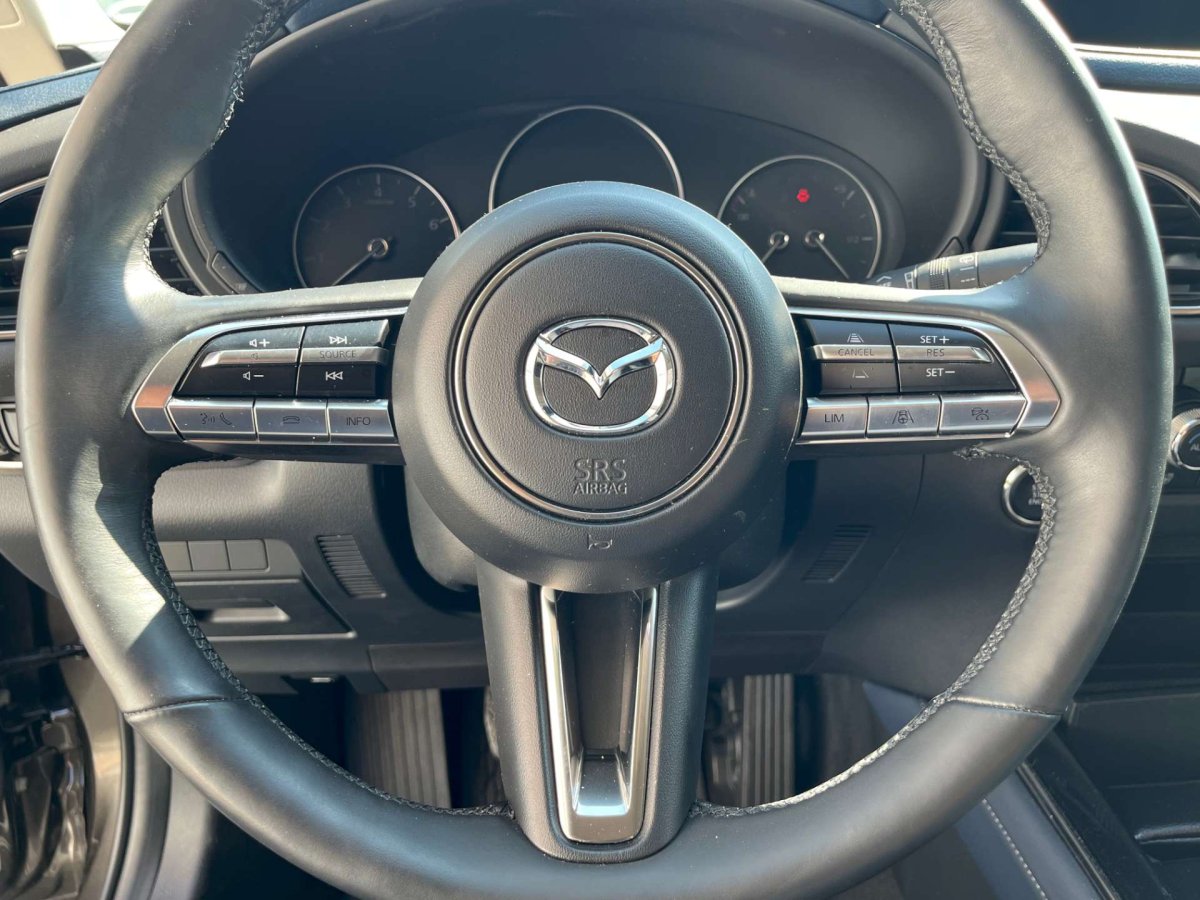 Mazda CX-30 2.0 M-HYBRID / Camera / Trekhaak